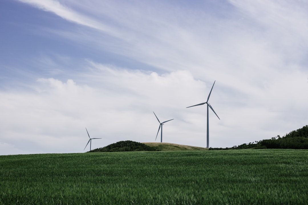 Windmills In A Field